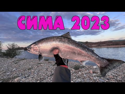 Видео: Сима 2023 Тернейский район