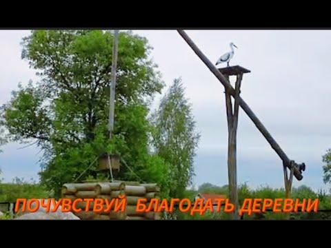 Видео: Почувствуй Благодать Села. Атмосфера Сельской Местности.ASMR Sounds Of The Village. Sounds Of Nature