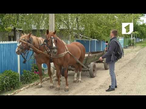 Видео: Утренний эфир / Корреспондент в селе Чобручи