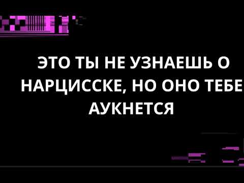 Видео: ЭТО ТЫ НЕ УЗНАЕШЬ О НАРЦИССКЕ, НО ОНО ТЕБЕ АУКНЕТСЯ