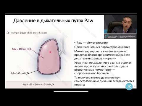 Видео: Основы ИВЛ