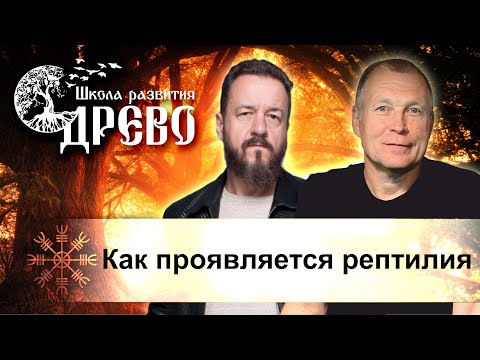 Видео: Как проявляется рептилия