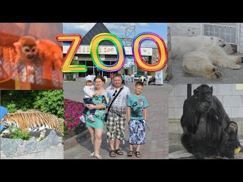 Видео: Зоопарк г.Челябинск