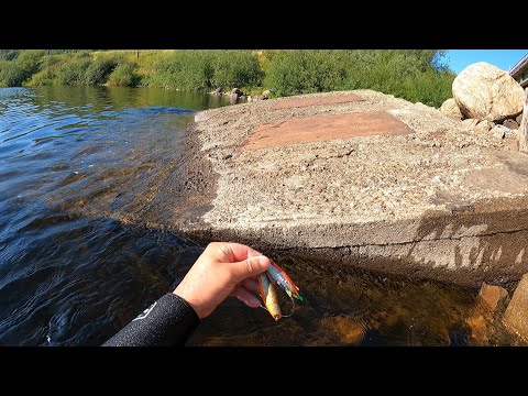 Видео: Что можно найти под водой, на рыбацком месте / What can be found under water, at a fishing spot