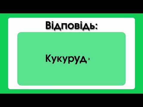 Видео: видео 2