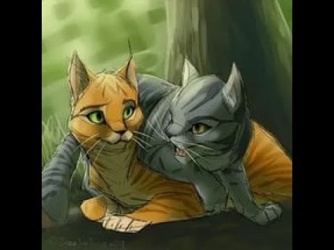 Видео: Коты Воители - Клип Я не сплю я живой