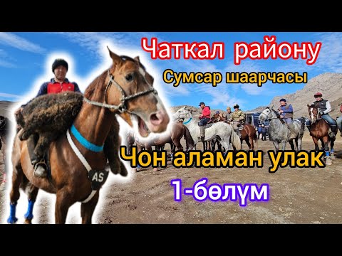 Видео: Чаткал району Сумсар шаарчасы Аш жана Улак башталды:1-бөлүм 04.12.23.