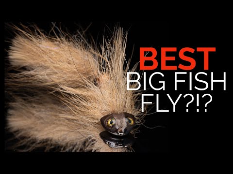 Видео: Этот стример стабильно находит мою самую большую форель!