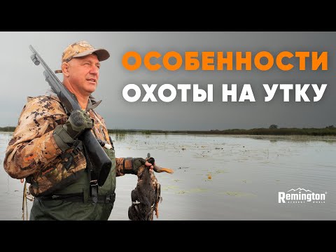 Видео: ЗАЧЕМ ХОДИТЬ НА ОХОТУ?! ОСОБЕННОСТИ ОХОТЫ НА УТКУ