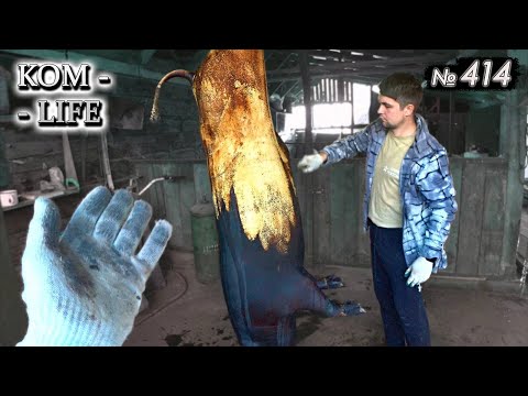 Видео: Забой в ГОД на 348 кг / Первый ПУСК навозоудаления в крольчатнике