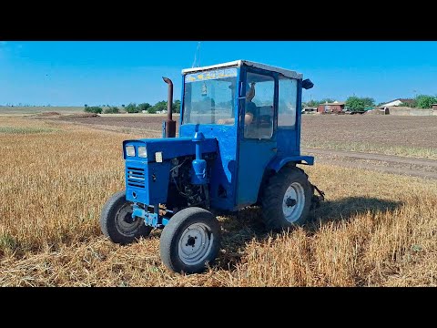 Видео: Засуха 2025 такая раз в 100 лет! опять без урожая!