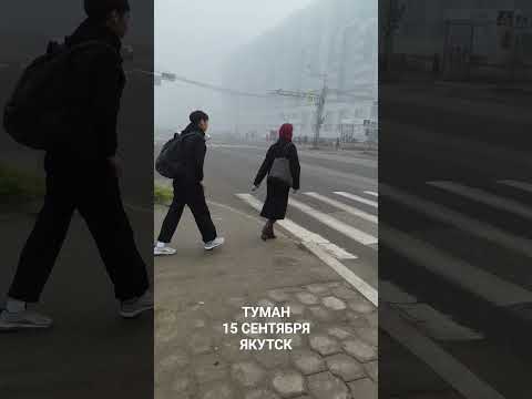 Видео: Осенний туман в Якутске