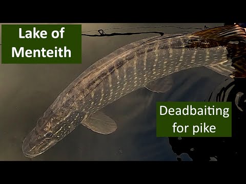 Видео: Ловля щуки на озере Ментейт