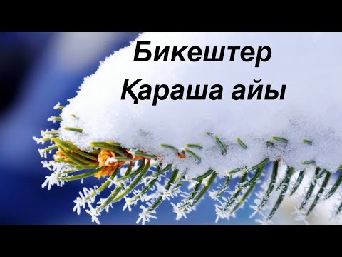 Видео: Бикештер 2024 жылдың Қараша айына арналған Таро жорамалы