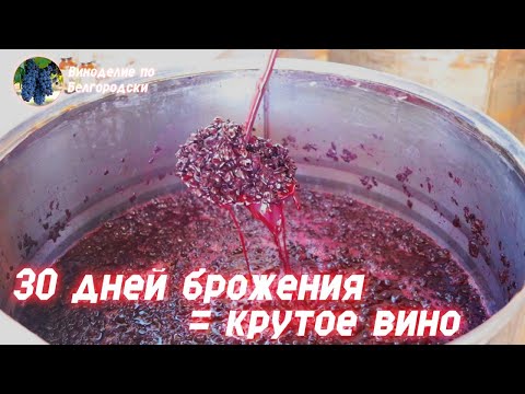 Видео: Длительное брожение = крутое вино!