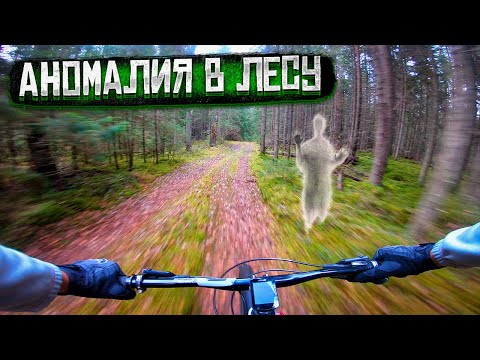 Видео: Алоль | Кабаньи поля, заброшенная деревня, плутаем во тьме