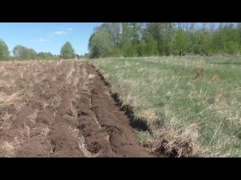 Видео: Поднятая целина  Пашем землю