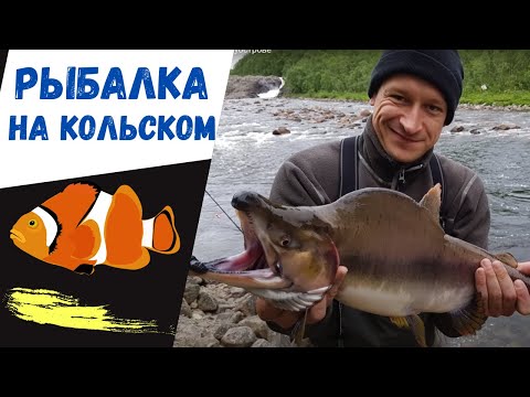 Видео: Рыбалка на Кольском полуострове