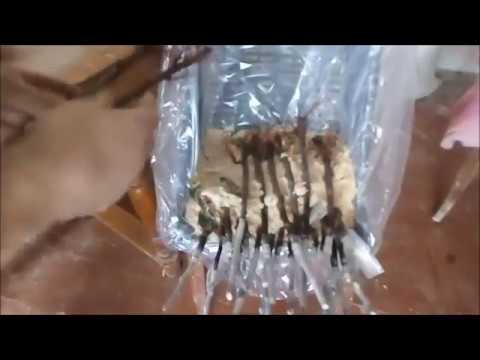 Видео: Зимове щеплення дерев!