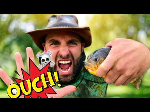 Видео: Ръцете на човек срещу Пирани 😱 | Brave Wilderness Български