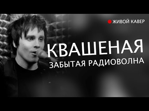 Видео: Квашеная — Забытая радиоволна | Живой кавер от Бона