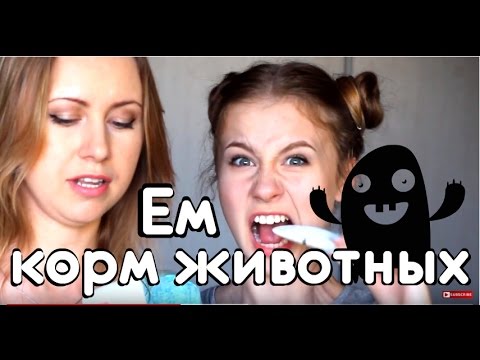 Видео: Челендж. Попробуй что едят твои питомцы