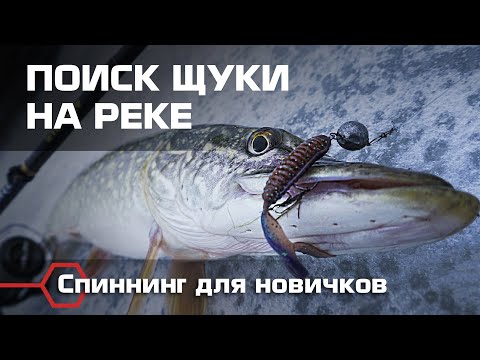 Видео: Рыбалка на щуку зимой на реке. Где искать рыбу, лучшие точки и места ловли, рабочие проводки