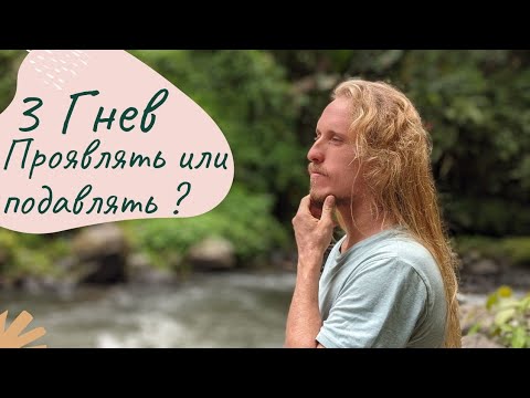 Видео: Игра Лила Самопознания - 3 Гнев (Проявлять или Подавлять ?)