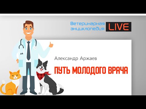 Видео: Путь молодого врача