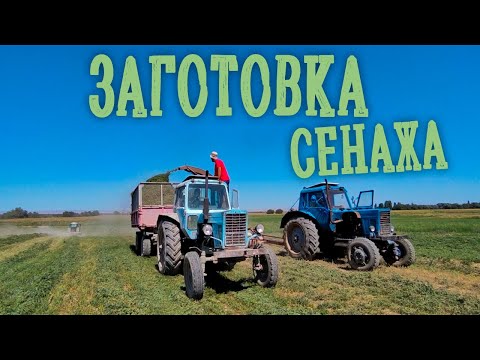 Видео: Заготовка сенажа 2022, МТЗ, КПИ 2.4, Т-40.