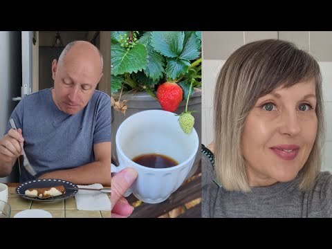 Видео: Моё идеальное утро. Вот о чём мечтает муж. Так воспитали сына. Сколько стоит Камамбер сегодня