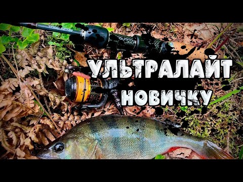 Видео: КАК начать ловить на УЛЬТРАЛАЙТ! Советы и ТОНКОСТИ микроджиговой ловли спиннингом