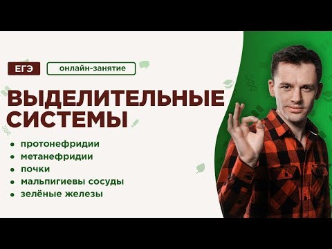 Видео: Выделительные системы | ЕГЭ Биология | Даниил Дарвин