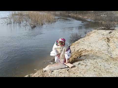 Видео: Чекаємо з перемогою 💪🇺🇦