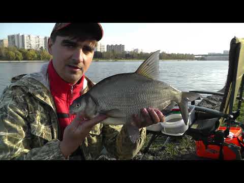 Видео: Ловля леща на волос осенью