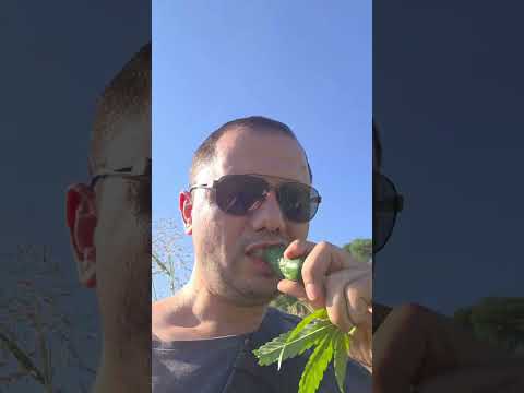 Видео: BÖLÜM_2_PART. YAZ TATİLİ_2025_ОТДЫХ