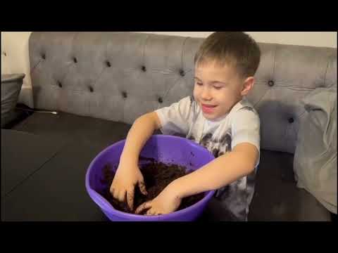 Видео: Видео для конкурса "Шебер әке, өнерлі ана, еңбекқор бала"