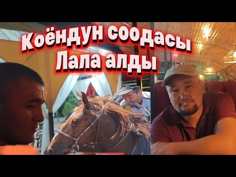 Видео: Коёндун соодасы кызыды
