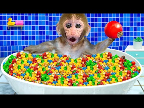 Видео: Малышка Обезьянка Bonbon Наслаждается Радужным Мороженым И Собирает Арбузы В Саду, Чтобы Сделат