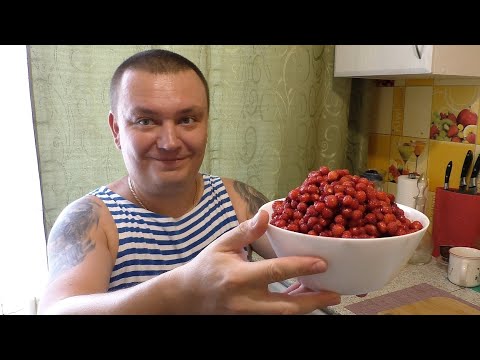 Видео: Лесная земляника на самогоне.  Летние настойки на самогоне.