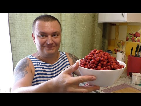 Видео: Лесная земляника на самогоне.  Летние настойки на самогоне.