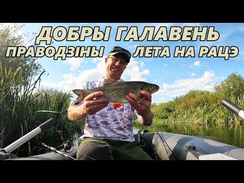 Видео: Язь, ялец, шчупак і шмат галаўнёў. Праводзіны лета на рацэ