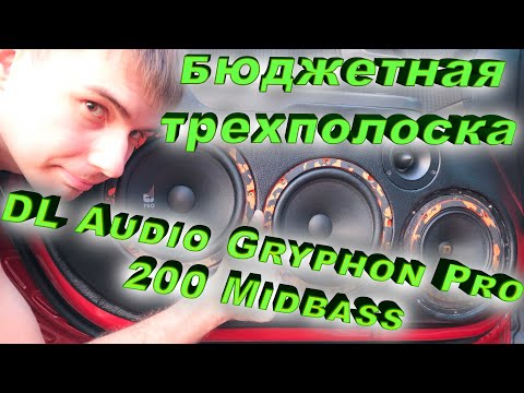 Видео: DL Audio Gryphon Pro 200 Midbass - правда ли эстрадный мидбас? [бюджетная трехполоска]