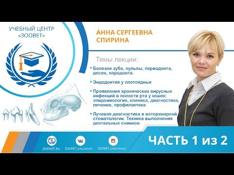 Видео: А.С. Спирина УЦ ЗООВЕТ | Стоматология. Часть 1/2