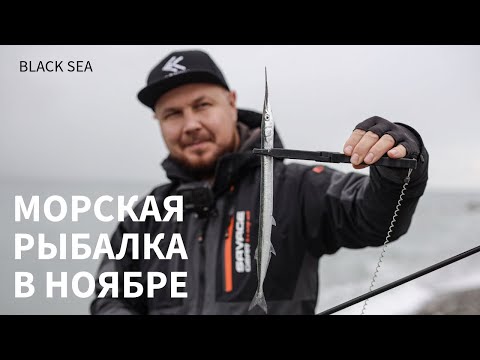 Видео: Рыбалка в Сочи в ноябре. Сарган и ставрида на пилькеры.