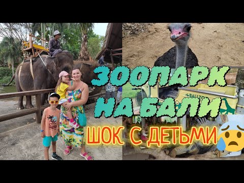 Видео: МЫ В ШОКЕ ОТ ЗООПАРКА😳НА БАЛИ! BALI ZOO #BALI , #ZOO 