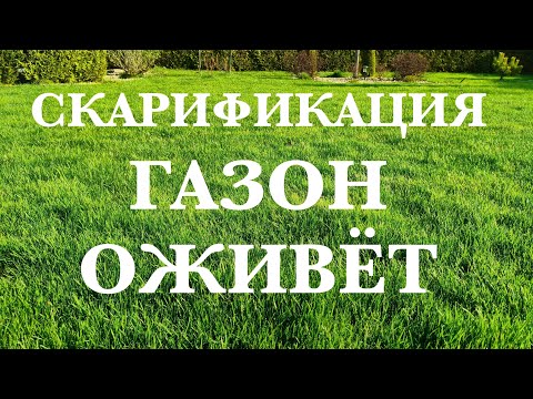 Видео: Скарификация газона, подробная инструкция.