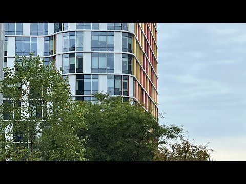 Видео: +20 в НОЯБРЕ? 😳