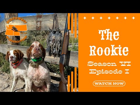 Видео: Первые дикие птицы Джаспера! — Новичок — Сезон VI, Эпизод I