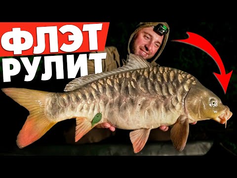 Видео: Ловля КАРПА на ФЛЭТ ФИДЕР! Рыбалка с ночевкой на ОЗЕРНЫХ МОНСТРОВ! Карпфишинг 2020